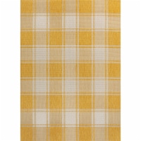 Sabine Traditional Farmhouse Bold Gingham Indoor/Outdoor Area Rug Perspective: Main