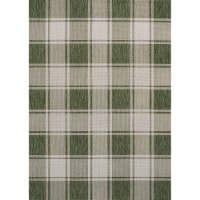 Sabine Traditional Farmhouse Bold Gingham Indoor/Outdoor Area Rug Perspective: Main