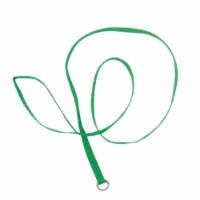 4' Kennel Leads - 12 Pack - Green