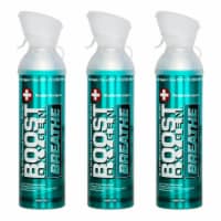 Boost Oxygen Natural 10 Liter Pure Oxygen Canister, Menthol Eucalyptus (3 Pack)