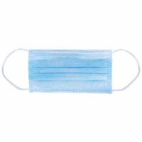 The Face Mask Co. - Face Mask Basic Unpleated - Case of 60-1 CT