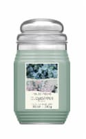 House of Velas® Jar Candle Natural Wax Blend Eucalyptus Blue Perspective: Main