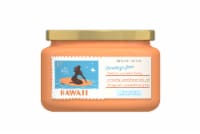 House of Velas Hawaii Travel Candle Perspective: Main