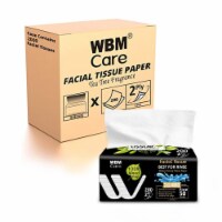 WBM Care Facial Tissue, Hypoallergenic & Soft, Tea Tree Fragrance-200 Sheets/Each, Pack of 12