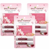 Salt Range Lip Balm, Infused with Vitamin E Extracts, Cherry & Shea Butter, Chapstick, 3 Pack