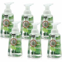 WBM Foaming Hand, Skin Care with Apple and Kiwi, Moisturizer, Cleaner Liquid Soap, Pack of 6