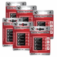 AAA Carbon Zinc Cells, Long Lasting Power, Ideal for Household, Pack of 6 (24 Count)