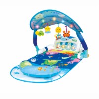 Winfun 860 Magic Lights & Musical Play Gym