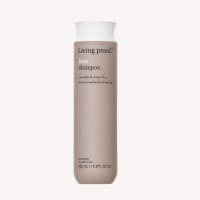 Living Proof® No Frizz Shampoo Perspective: Main