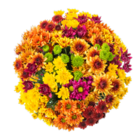 Fall Mega Mum Mixed Bouquet - Orange / Yellow / Green