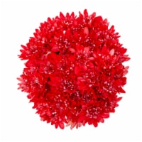 Mother's Day Cupcake Poms Fresh Flower Bouquet Perspective: Main
