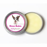 Healthy Breeds 840235192084 2 oz Rat Terrier Dog Nose Balm