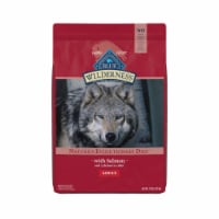 Blue Buffalo Wilderness High Protein Natural Salmon Adult Dry Dog Food Perspective: Main