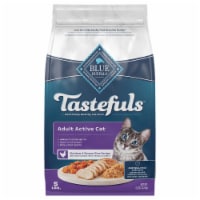 Blue Buffalo Healthy Living Chicken and Brown Rice Adult Dry Cat Food