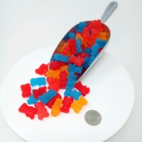 Sugar Free JuJu Bears Pectin Candy 1 Pound Package | 120 Pieces of Candy | Bulk Candy