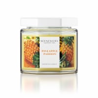 Scentworx Scented Jar Candle - Pineapple Passion Perspective: Main