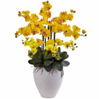 34-in Phalaenopsis Orchid with White Planter Yellow