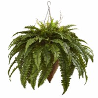 26-in Giant Boston Fern with Cone Hanging Basket