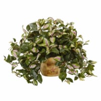 19-in Hoya in Wooden Pot