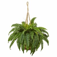 33-in Boston Fern Hanging Basket
