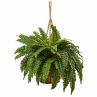 29-in Boston Fern Hanging Basket
