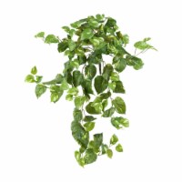 40-in Pothos Hanging Bush (Set of 3)