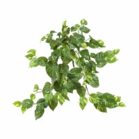 30-in Pothos Hanging Bush (Set of 3)