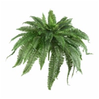 48-in Boston Fern (Set of 2)