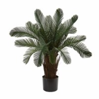 2-in Cycas Tree UV Resistant (Indoor/Outdoor)