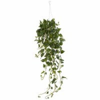 40-in Pothos Bush Hanging Basket