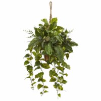 46-in Mixed Pothos and Boston Fern in Hanging Basket