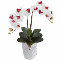 23-in Double Phalaenopsis Orchid in White Vase
