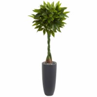 Nearly Natural 5740 6 ft. Money Artificial Tree in Gray Cylinder Planter - Real Touch
