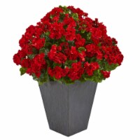33-in-in Geranium Plant in Plater UV Resistant (Indoor/Outdoor)