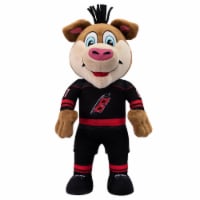 Bleacher Creatures Carolina Hurricanes Stormy Mascot 10  Plush Figure