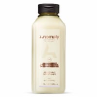 Anomaly Smoothing Conditioner Perspective: Main