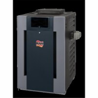 Ruud 010008 57 lbs P-D336A Digital Polymer Pool & Spa Heater 332500 BTU, Liquid Propane Burne