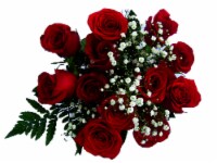 Dozen Red Rose Bouquet
