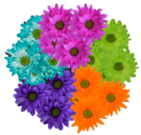 Crazy Daisy Bunch