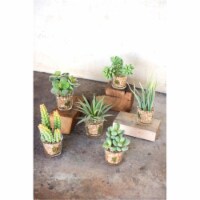 Kalalou CYF1019 2.5 x 5 in. Artificial Succulents in Glass Containers - Set of 6