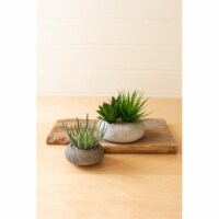 Kalalou CNL1334 6 x 7 in. Succulents In Concrete Pots, Green - Set of 2