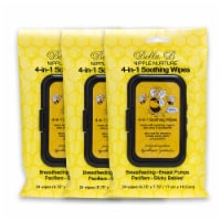 Nipple Nurture 4-in-1 Soothing Wipes 24ct - 3-Pack