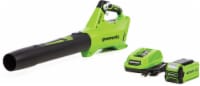 Greenworks Axial Blower Kit Perspective: Main