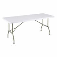 Multipurpose Indoor Outdoor Heavy Duty Blow Molded Plastic Folding Table 30 W x 72 L White