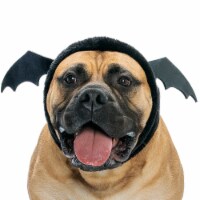 Black Bat