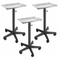 Set of 3 - Saloniture Aluminum Instrument Tray, Silver Cart