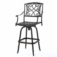 Noble House Santa Maria Cast Aluminum Brown 3-Piece Bistro Bar Set