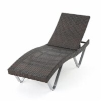 Noble House San Marco KD Chaise Lounge in MultiBrown with Silver Legs