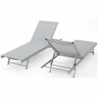 Noble House Salton Outdoor Grey Mesh Lounge Dark Grey Aluminum Frame (Set of 2)