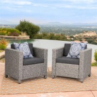 Noble House Puerta Outdoor Mixed Black Wicker Club Chair (Set of 2)